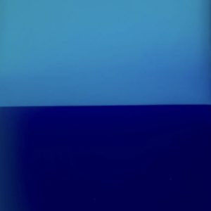 Bluebird by Jarod Farver