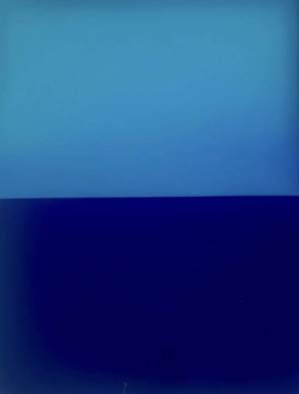 Bluebird by Jarod Farver