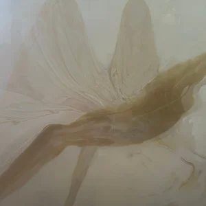 Soar by Tracey Pagano